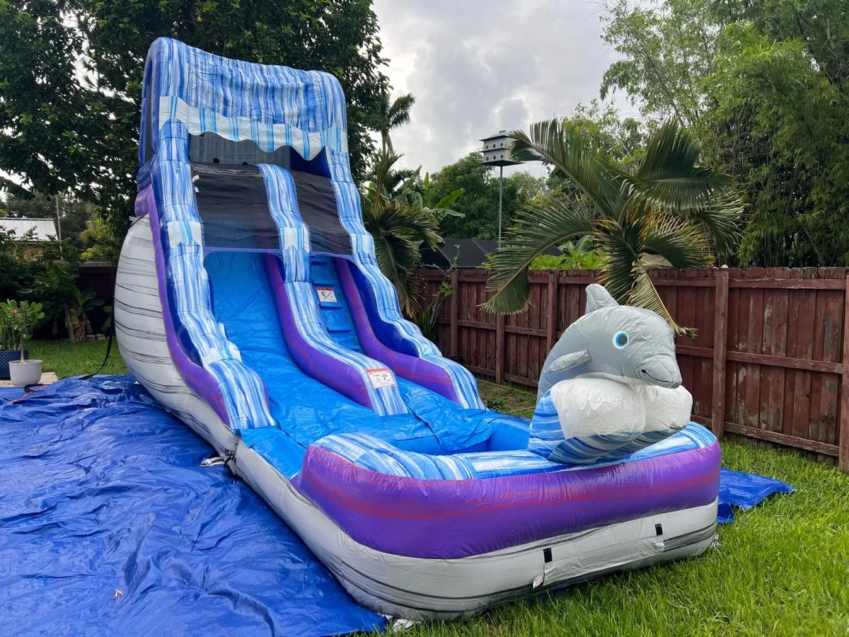 Dolphin Water Slide 17ft thumbnail 4