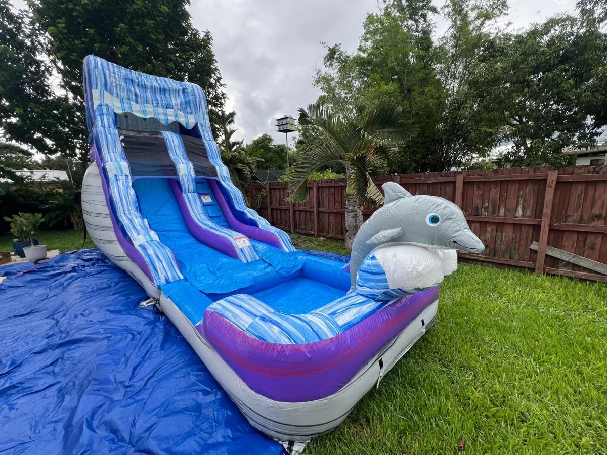 Party rentals in Wynwood